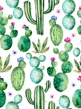Akvarelis kaktuss augu purpursarkani ziedi Fotogrāfijas Fons Foto Fona Kvalitātes Vinila 5176