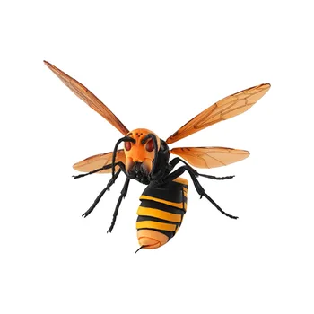 Noslēpumaino kukaiņu 01 modelēšana bioloģisko modeli hutoufeng bišu