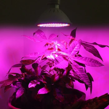Phytolamp Pilna Spektra 200 LED Augt Gaismas E27 LED Augt Lampas istabas augu Ziedi, Dēsti siltumnīcas efektu Izraisošo Augu Fitolamp 30530