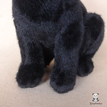 Reālajā dzīvē Plīša melni kaķi rotaļlietas maigu un gludu mīkstās rotaļlietas klāt Apdare 10908