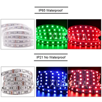 12V 24V LED Strip Gaismas SMD5050 60LEDs/M Ūdensizturīgs Lentes Diožu Lentes RGB/Balts/Silti Balts/Zils/Zaļš/Sarkans Elastīgs Led Gaismas