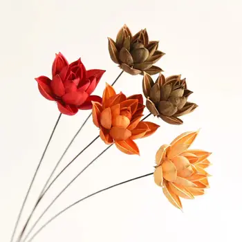 1GB Dabas Mākslīgi Žāvēta Lotosa Ziedi Sacensība Konservēti Flores Mājas Biroja Apdare DIY Dekoru Amatniecības Grupa Krājumi