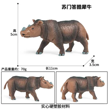 Sumatran Rhino Dzīvnieku Attēls Kolekcionējamu Rotaļlietu Savvaļas Dzīvnieku Izziņas Darbības Rādītāji Bērniem Plastmasas Modeli Rotaļlietas