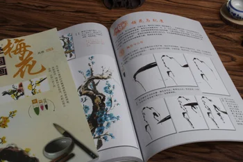 Ķīniešu Otu Tintes Mākslas Glezniecības Sumi-e pašmācības Tehnika Izdarīt Plūmes Grāmata ,Freehand suku brīvrokas mācību grāmatas