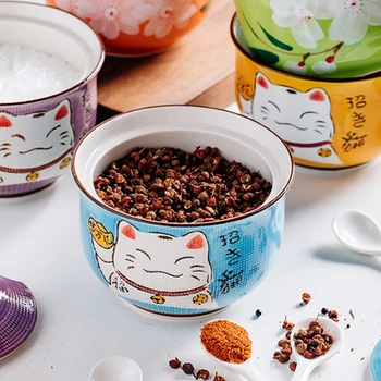Japāņu stila Roku apgleznoti Multi-krāsu Laimīgs Kaķis Keramikas Garšvielas Pot Dāvanu Kastē Virtuves Home Dāvanu Sāls Pipari Pudeli Cukura Trauks