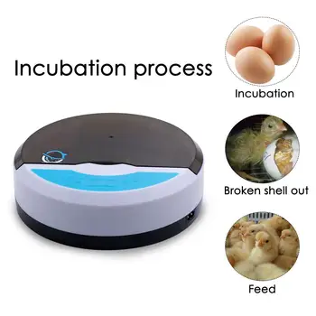 Jaunākās Olu Inkubators Automātiska Digitālā Olu Audzētājs Mājās Vienu pogu Automātiskā Digitālā Pīļu Olu Audzētājs Mājputnu Inkubatoru Ierīces