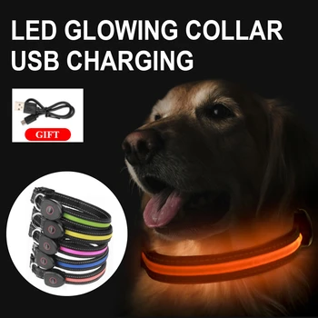 LED kaklasiksna Mājdzīvnieki, USB Uzlādējams, kas Mirgo Nakts Kakla siksnas Suņiem Gaismas Drošību Pastaigu Svins Regulējamu Neilona Siksnas Kakla Kaķis