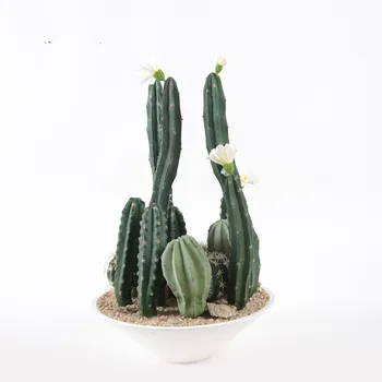 Mākslīgais Kaktuss Sukulenti Bonsai Viltus Augi Mājas Rotājumi, Foto Aksesuārus