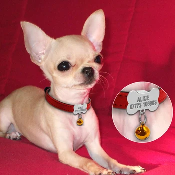 Personalizētu Chihuahua Apkakles Mazo Suņu pielāgojamas, Polsterētas Pet Collars ar Zvaniņu Mazie un Vidējie Kaķi Suņi
