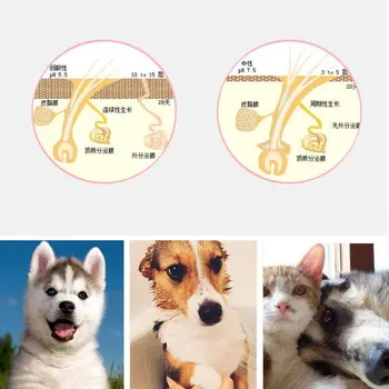 Pet Suns Praktiski Portatīvo Deshedding Noņemšanas Matu Ķemme Par Kaķa Kopšana Brush Tool, Matu Clipper Suns, Kaķis Ķemmes Piegādes Pet Suņiem