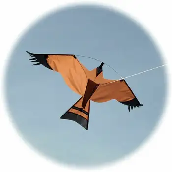 Sacensība, Kas Peld Vanags Putnu Scarer Disku Putnu Kite Mājas Dārzā Scarecrow Pagalmā Vējš Viegli Lidot Putnu Repeller