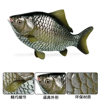 Saldūdens Zivis Zeltainā Karūsa Dzīvnieku Attēls Kolekcionējamu Rotaļlietu Zivis, Dzīvnieku Izziņas Darbības Rādītāji