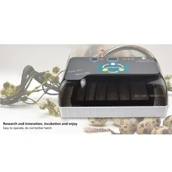 Mājas Inkubators ar LED Apgaismojums 12 Automātisko Olu Inkubatoru Vistu, Pīļu, Zosu Putnu Saimes, Lopkopība
