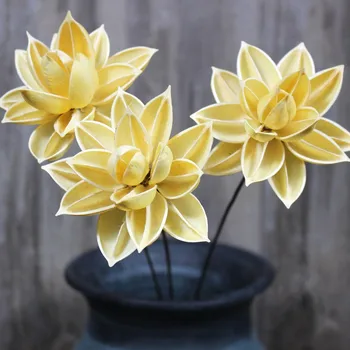 1GB Dabas Mākslīgi Žāvēta Lotosa Ziedi Sacensība Konservēti Flores Mājas Biroja Apdare DIY Dekoru Amatniecības Grupa Krājumi