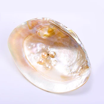 1pc 13*18 cm AA kvalitātes dabīgo saldūdens pērļu austeres gliemežu čaulas burnish Gludi, rotaslietas, amatniecības