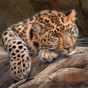 5D Dimanta Glezniecības Pilnībā Urbja Apaļais Kvadrāts Dzīvniekiem Dimanta Izšuvumi Leopard Rhinestones Mākslas Roku darbs, Hobijs Cross Stitch Komplekti