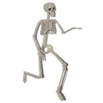 Aktīvā Cilvēka skeleta Modelis Anatomija Skelets Skelets Modelis Medicīnas Mācību Halloween Puse Apdare Skelets Mākslas Skice