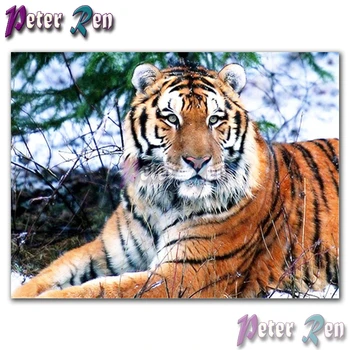 Dzīvnieku krāsošana 5d Diamond rhinestones Izšūt Skatās tīģeris, Kvadrātveida/apaļā Mozaīkas full Cross Stitch Dzīves telpu dekorēšana