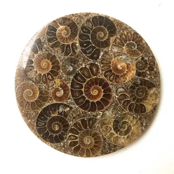 Vairumtirdzniecības 1PC 10cm Ammonite Fosilā Šķēle Plāksnes Natura Shell Madagaskara Izrakteņu Paraugu Akmeņi un Kristāli