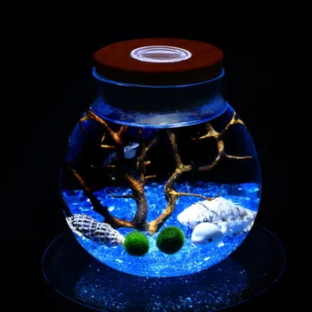 11 CM Apaļas Stikla Burkā Terāriju ar Krāsainiem LED Gaismas Korķa Mikro Ainavu Ekoloģisko Pudele Nakts Gaismas #264310