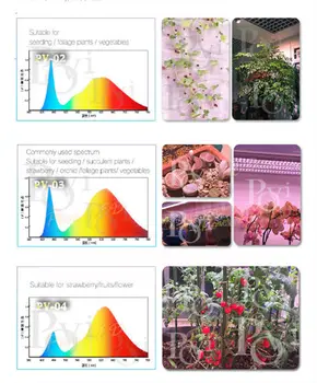 POVI 50W70W100Wfull spektra augt lampas LED Augt Gaismas Pilna Spektra 380-780nm Par Istabas Augiem un puķēm, ar Ļoti Augstu Ražību